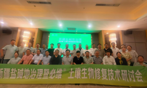 共探盐碱地治理新径 科技赋能新疆农业发展